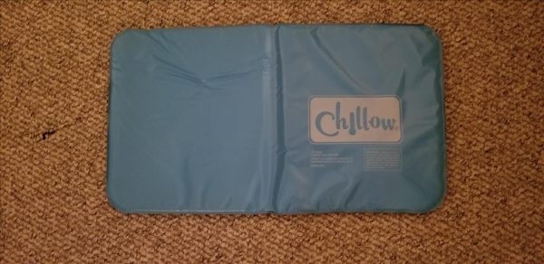 Chillow Pillow 1
